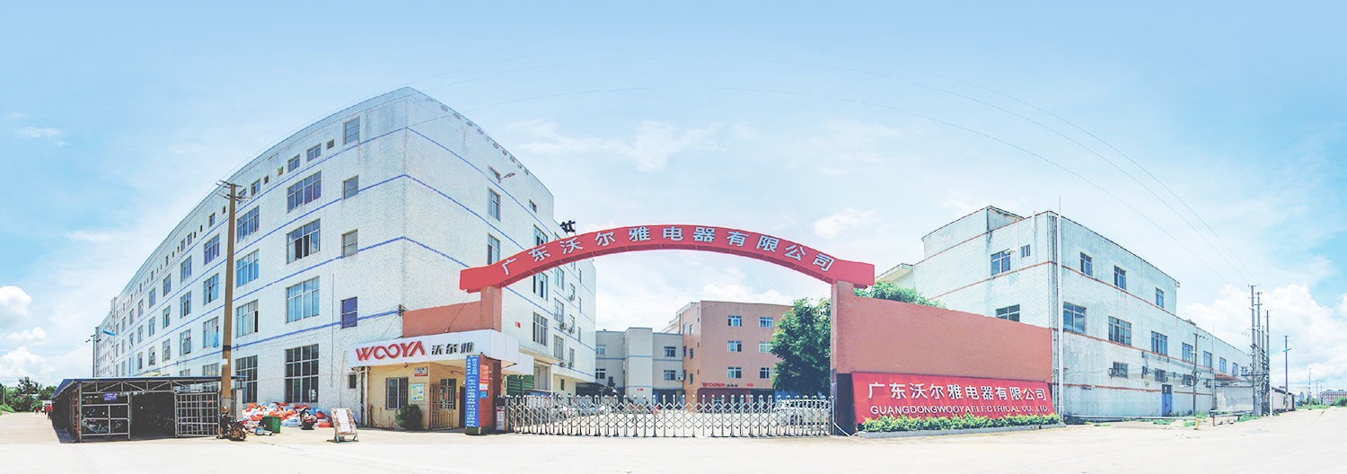 Domestic Rice Cooker manufacturer